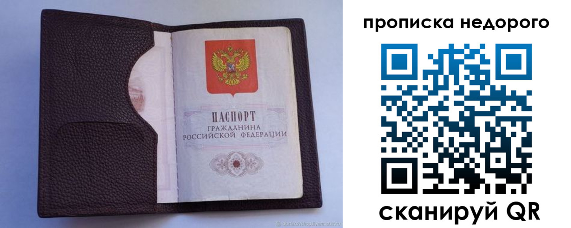 прописка законно в Новодвинске